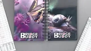 Bridge Buddy Commercial 2020