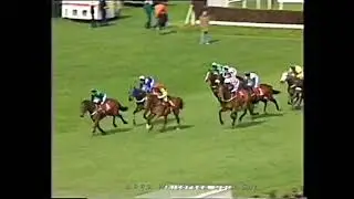 1992 Whitbread Gold Cup Topsham Bay
