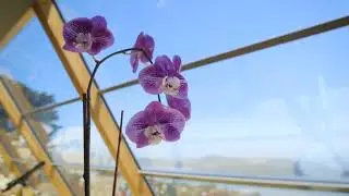 Choose 3M Window Film For Your Home