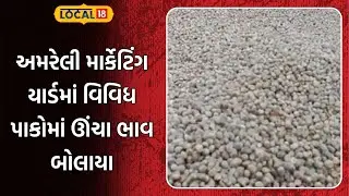 Amreli Farmers | અમરેલી માર્કેટિંગ યાર્ડમાં વિવિધ પાકોમાં ઊંચા ભાવ બોલાયા |Market Yard | Gujarat