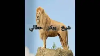 شعبي جزائري ..شيح بوبكر حطالي