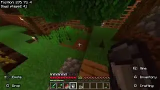 Minecraft: First Time Playing