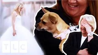 Princess Bride Needs Her Dogs Approval | Say Yes To The Dress UK