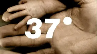 37grad - sp&auml;te Tr&auml;ume, neue Welten