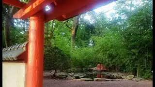 Redwing Park tour in Virginia Beach, beautiful Japanese garden with koi pond and stream