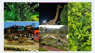 Joychandi Hill Resort: One of the best stay near Joychandi Pahar