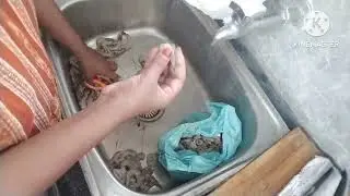Prawn 🦐 cleaning #food #tamil #nonveg #seafood #prawns #recipe #cleaning #youtube #trending 