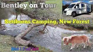 Setthorns | New Forest Camping | Exploring on Foot | #motorhome