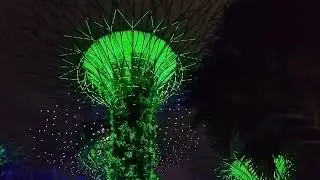 Supertree Grove, Gardens by the bay, Singapore.. #lightshow #garden #nightlife #aviation 
