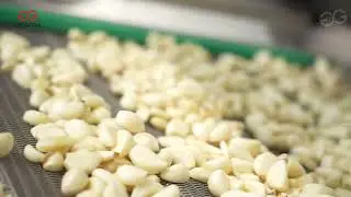 Full Automatic Garlic Paste Butter Production Line Garlic Production Line