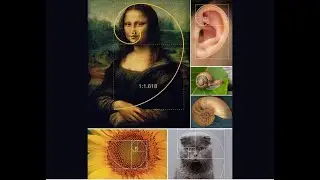 The Golden Ratio, Truth or Myth? Exploring Nature&rsquo;s Most Famous Pattern
