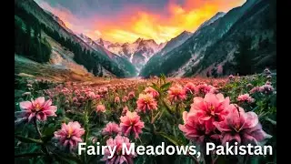 Magical Escape to Fairy Meadows: Trekking Bliss and Nanga Parbat Majesty