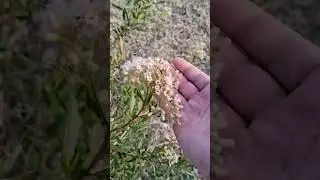 Прогулка по холмистой местности