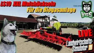 LS19 XXL Maish&auml;ckseln F&uuml;r die BGA | Claas Jaguar 980 + 12 Abfahrer  auf der Map Bergisch Land 🔴LIVE🔴