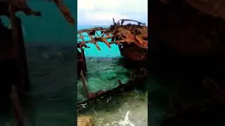 A Rusty Shipwreck #shorts