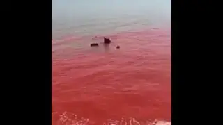 Prophecy Alert: &ldquo;Apocalyptic Water Turns BLOOD RED Around Iran Hormuz Island&rdquo;