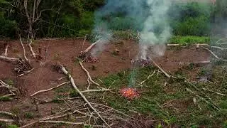 Deforestation in Amazon rainforest with slash and burn fires raging. Aerial perspective showing