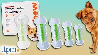 Crunchcore Bone Plastic Water Bottle