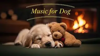 Play This Tonight & Your Dog Will Sleep Deeply 🐶💤 | Calming Music for Dogs Anxiety Relief