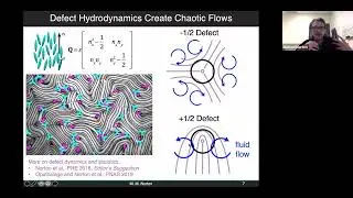 Dr. Mike Norton: Towards model-based control of active matter