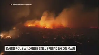 Survivors of the deadly Maui wildfires start returning to ruins. The death toll is likely to rise
