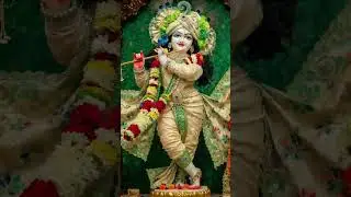 Krishan ji ❤️🙏🏻&hearts;️🌹 #krishna #krishnastatus #krishnalove #bhakti #bhaktisong #status #radheshyam #yt