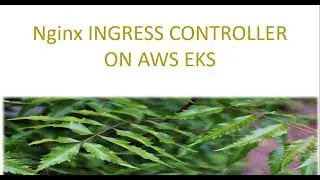Nginx INGRESS CONTROLLER ON AWS EKS
