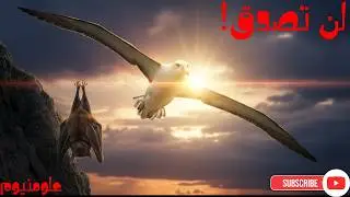 أغرب طرق النوم عند الحيوانات… معلومات ستصدمك لأول مرة