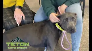 Pet of the Week: Sunflower