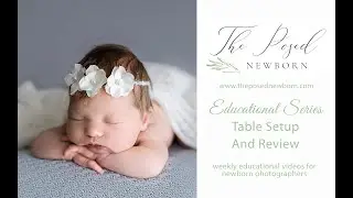Newborn Photography Table Posing Setup