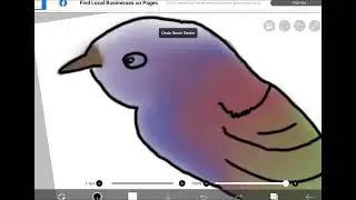 Fantasy bird #bird #shorts