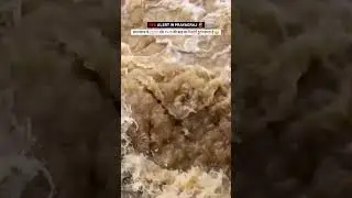 RED ALERT 😦 IN PRAYAGRAJ #flood #ganga #yamuna #river #nature #shorts #shortvideo #viral