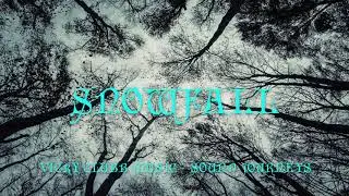 Snowfall from Twilight Muse - Sound Journeys by Vicky Clubb Music