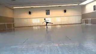 Swan Lake Adagio (Luca Sportelli)
