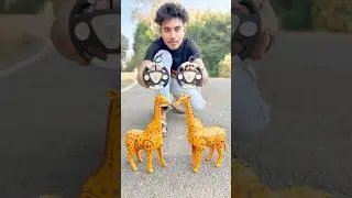 Remote Wala 2Ta Rc Giraffe 🦒 Unboxing