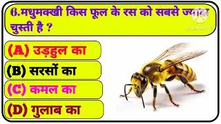Gk Question ॥ Gk In Hindi ॥ Gk Question and Answer ॥ Gk Quiz ॥ MJ AG STUDY