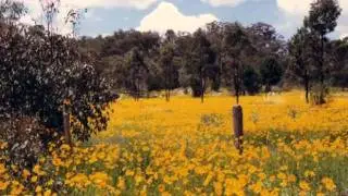 Gordon McIntyre & Kate Delaney - Lassie Wi' The Yellow Coatie