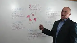 Why Stellar Consensus Protocol for Tokenization