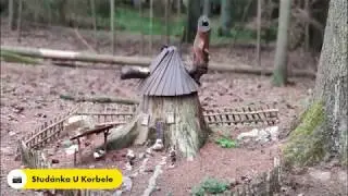 Jinošovské studánky a rybník Bělizna