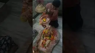 2025 आ रहा हैNew year funny status Naye Saal Ke status year 2025Happy New #hindusthan #song #love 🌹