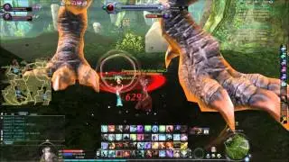 Aion1,75x