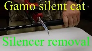 Gamo silent cat - does this silencer even work? - Pelletonix