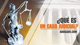 &iquest;Qu&eacute; es un caso judicial?