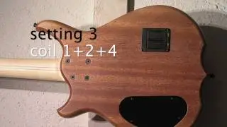 Unicornbass Artist 4 QUAD pickups