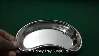 Kidney Tray {kidney Dish} Stainless Steel 10