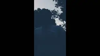 Hills Studio Motivation