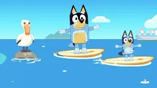 Bluey&rsquo;s Surfing Training: Beginner-Friendly Surf Lessons