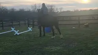 VN and Onyx bareback trail