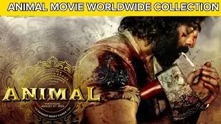 ANIMAL movie worldwide collection Day:5 | #animalmovie