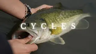CYCLES | A FLY FISHING FILM | FLY FISHING THE TEXAS HILL COUNTRY